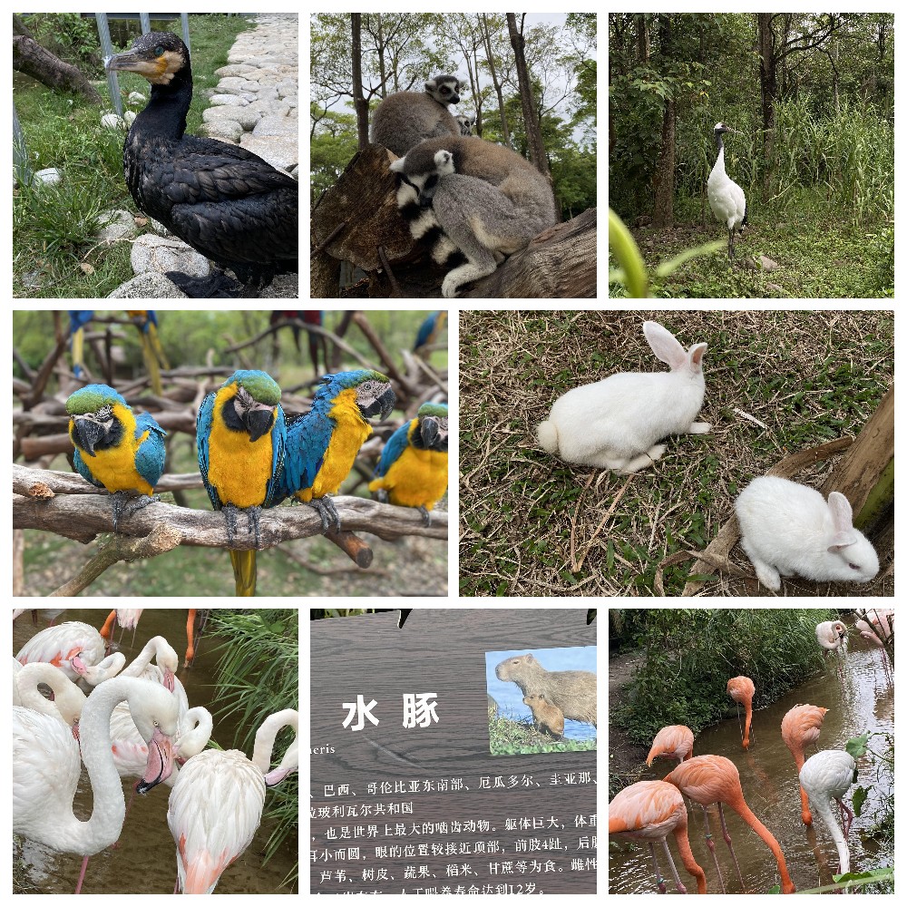 厚積薄發(fā)，蓄力前行：大手牽小手，共圓實佳夢